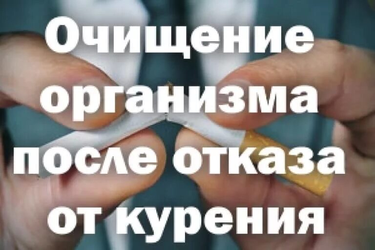 Бросил курить очистить организм. После отказа от курения. Очищение после отказа от курения. Сроки очищения организма после отказа от курения. Очистить организм после никотина.