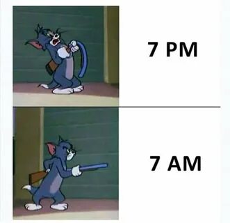 Will understand