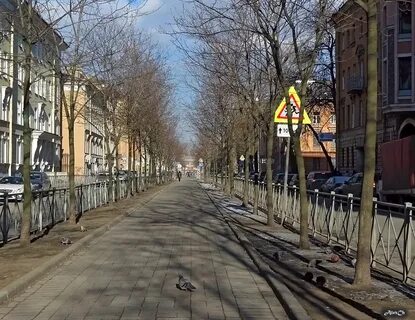 Малодетскосельский просп