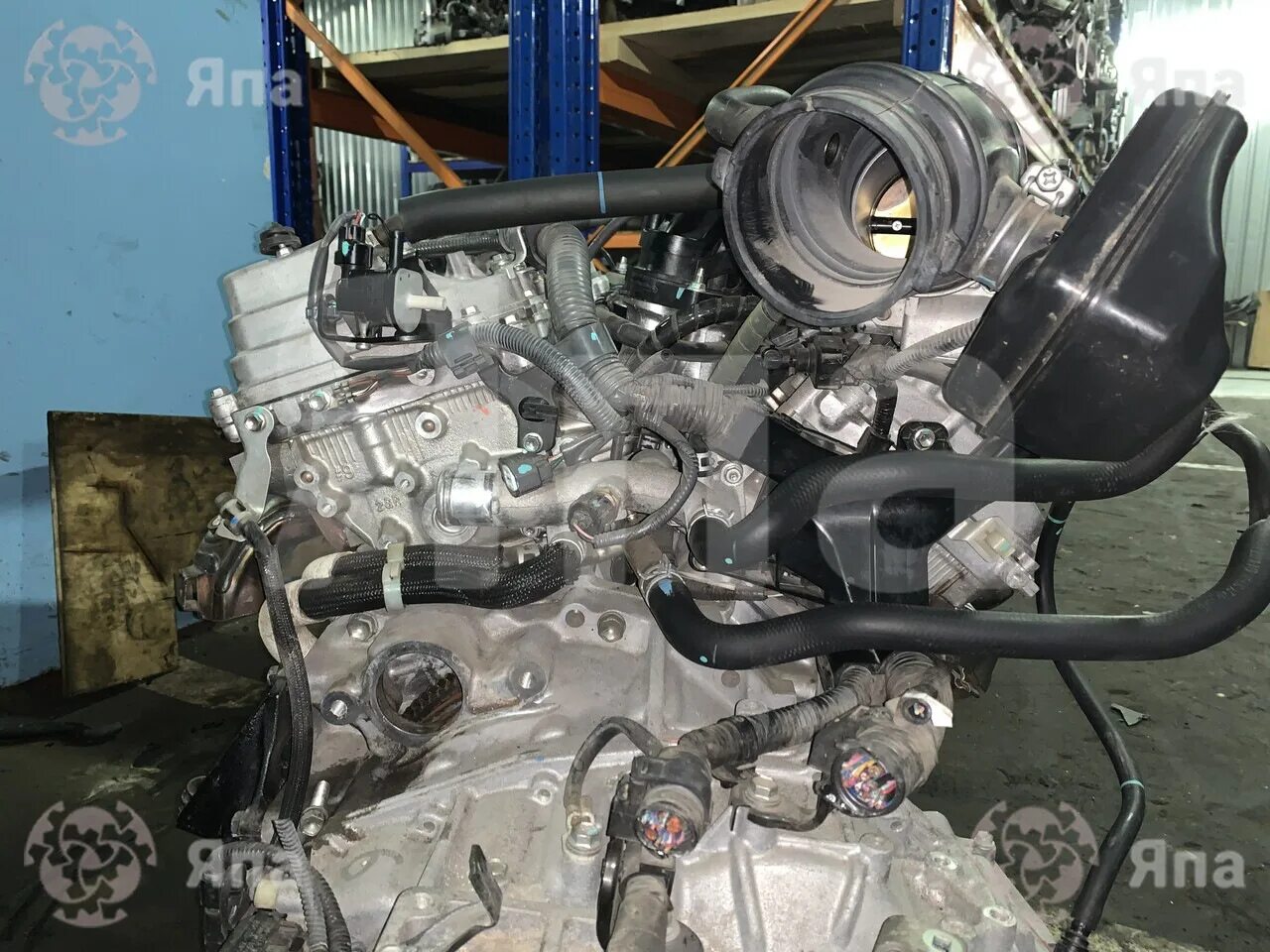 Какой двигатель тойота хайлендер. ДВС 2gr Лексус 350. Двигатель Highlander 3.5. Двигатель 2gr Fe хайлендер. Highlander 3,5 2gr Fe контрактный двигатель.