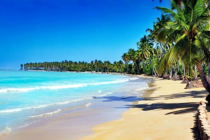 C$ 163 Cheap Flights to the Dominican Republic in 2025 momondo