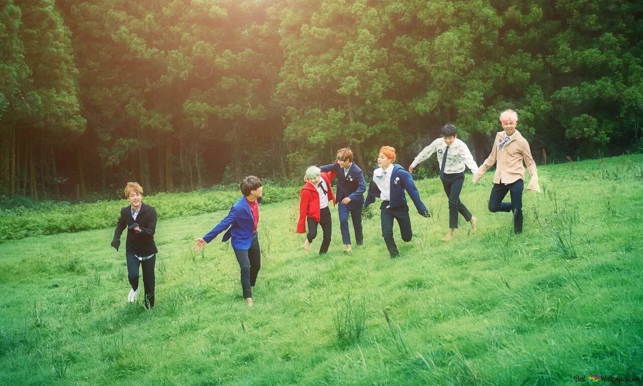 Бтс в лесу. Bts hyyh. бтс на траве. бтс на прогулке. бтс идут по дороге.