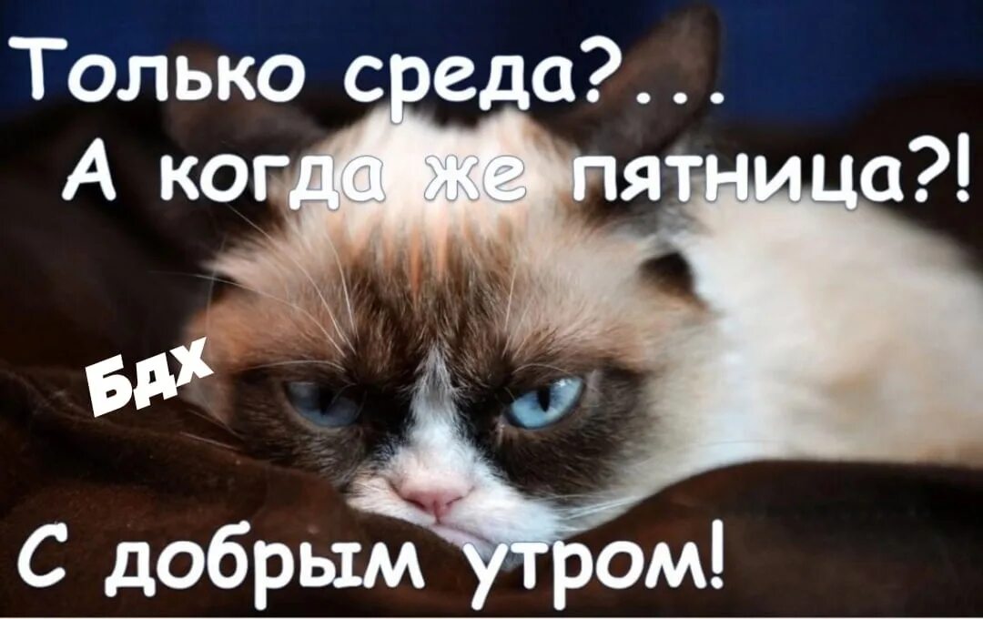 Pin auf русские желания Samstag, Mittwoch, Donnerstag