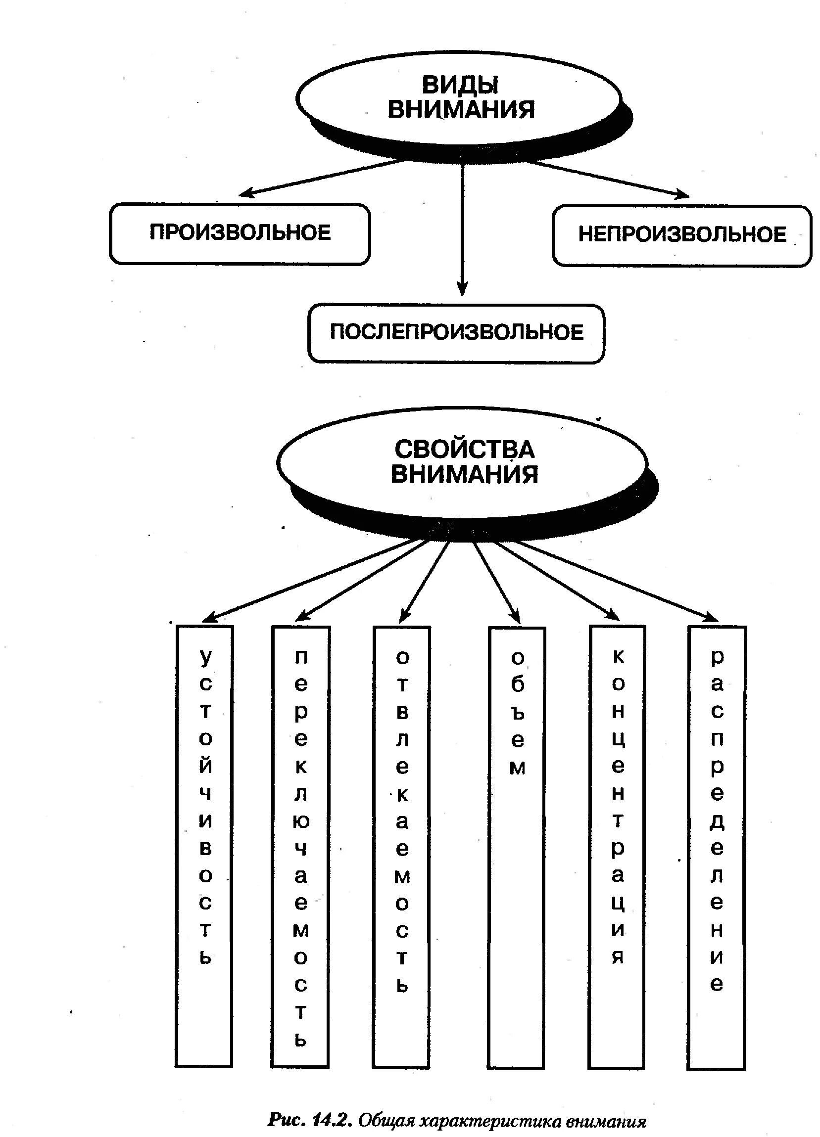 Свойства внимания в психологии схема. Структура внимания в психологии схема. Функции внимания в психологии схема. Внимание Маклаков общая психология.