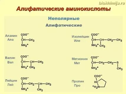 Аминокислота содержащая дополнительно алифатический радикал