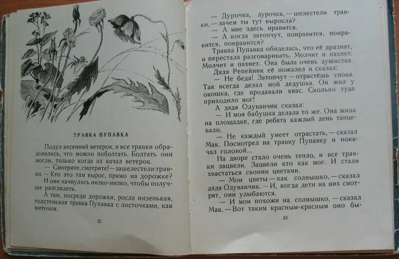 Одуванчик и дождь сладков читать. Книги нины павловой живая бусинка. рассказ павловой хитрый одуванчик.