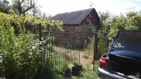 Снт любитель курск