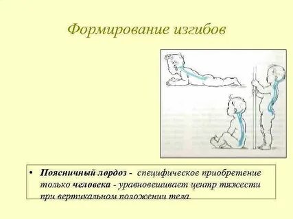 Формирование изгибов