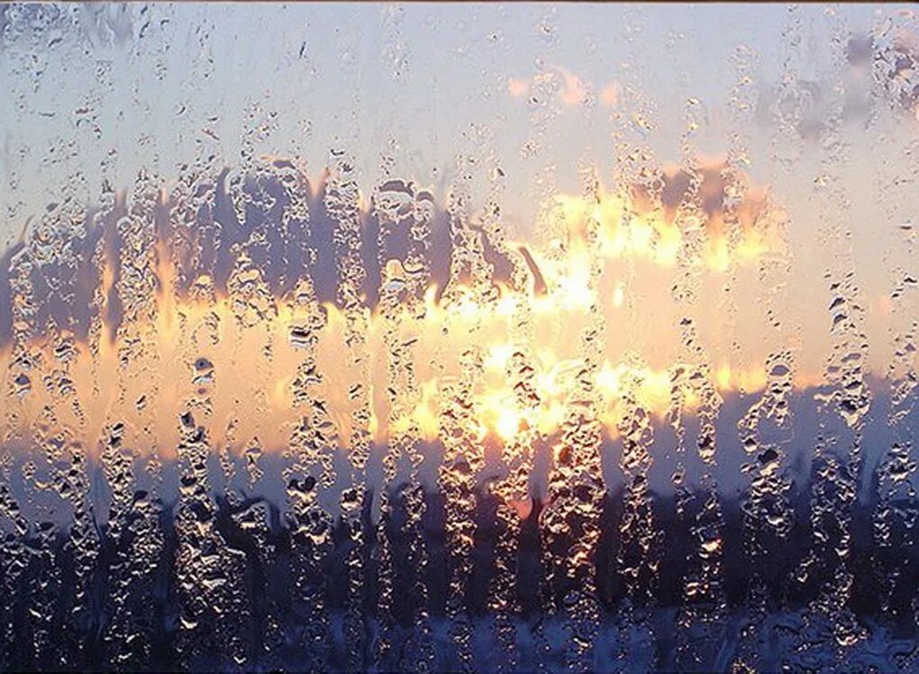 Дождик. Дождь в окне. Весенний дождь.