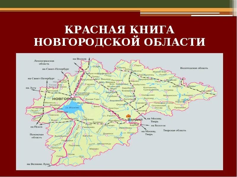 Доклад новгородская область. Красная книга Новгородской области. Красная книга Новгородской области книга. Животные красной книги Новгородской области. Красная книга Новгородской области доклад.