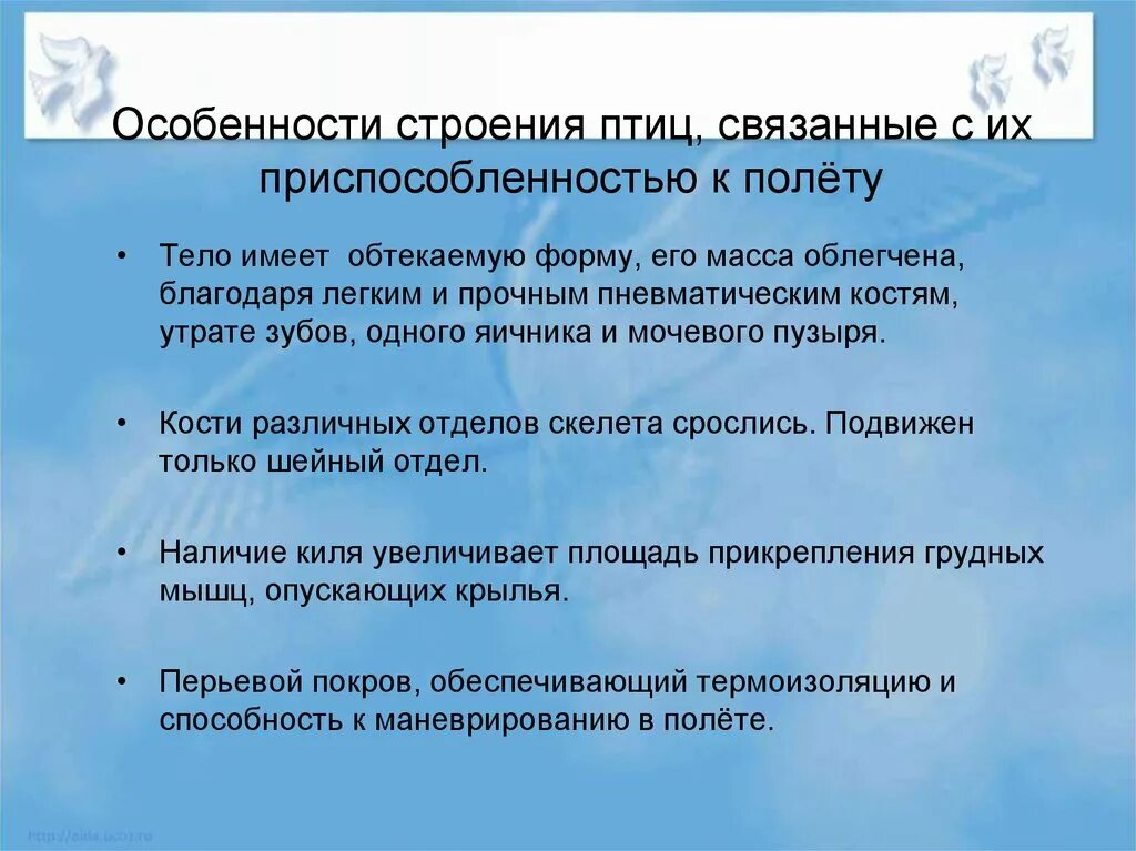 Особенности строения птиц. Особенности внешнего строения птиц. Особенности внешнего строения птиц связанные с полетом. Особенности птиц связанные с полетом.