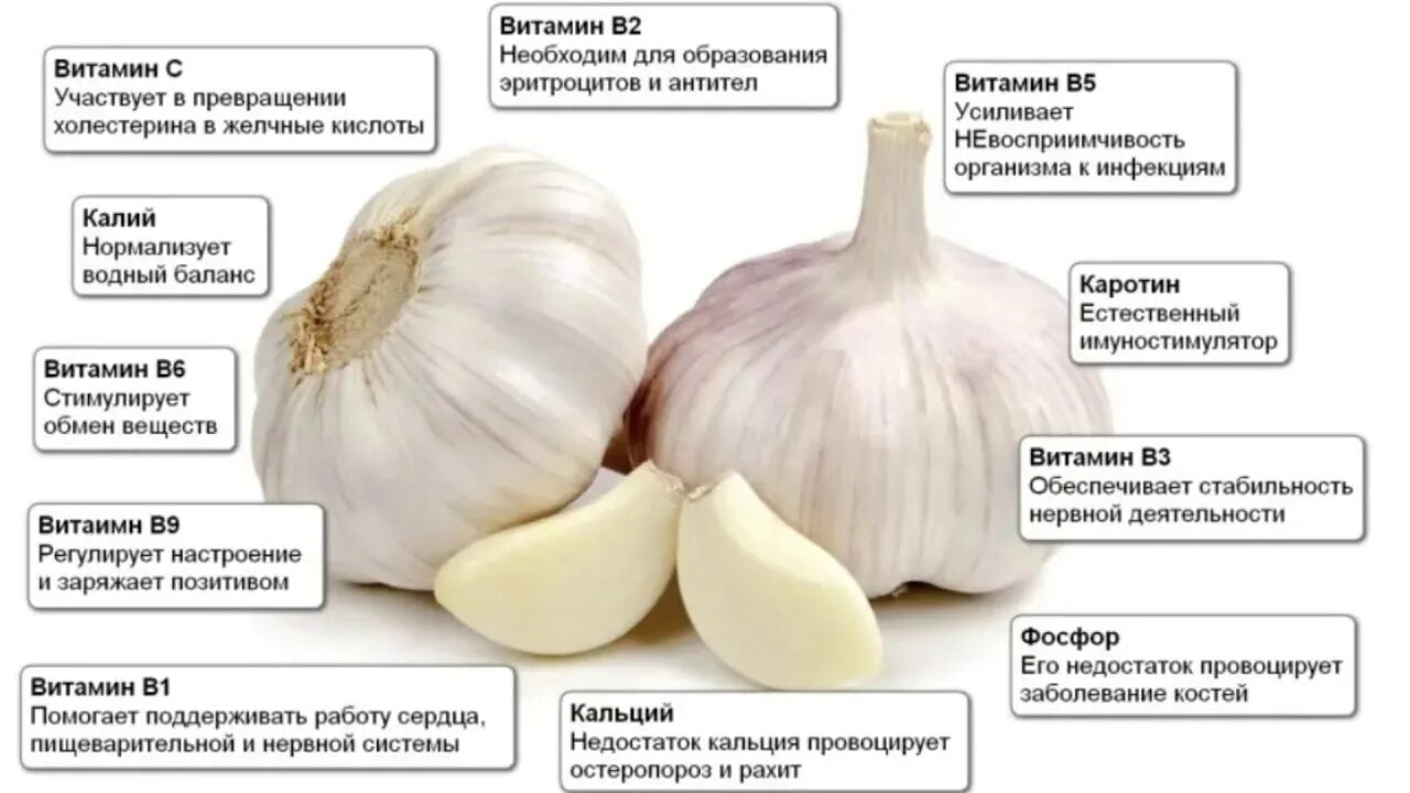 Можно есть сырой лук. Чем полезен чеснок. Полезные свойства чеснока. Чем полезен чеснок для организма. Полезен чеснок для.организма.