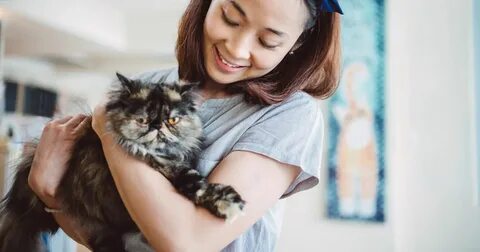 Как стать человек кошка