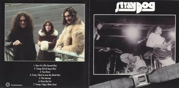 Re down. Stray Dog (1973). Stray Dog album 1973. Stray Dog - while you re down there - 1974. Stray Dog (1999).