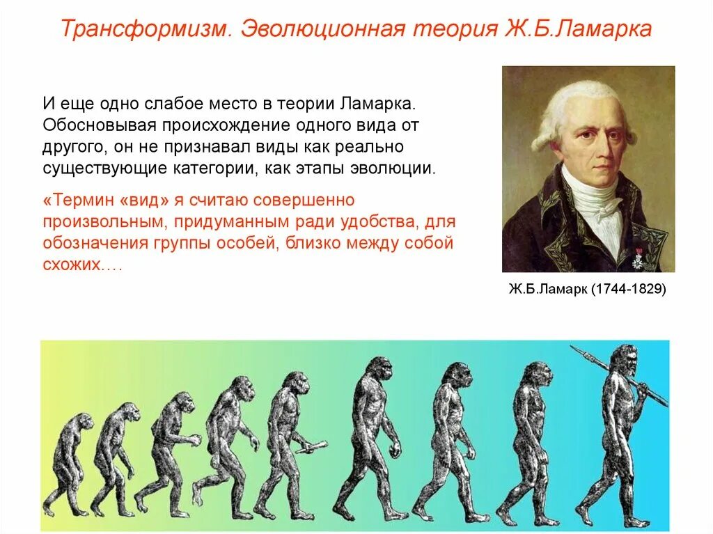 Как ламарк объяснял многообразие видов и приспособленность. Ж Б Ламарк теория происхождения человека. Трансформизм теория эволюции. Происхождение человека по Ламарку.