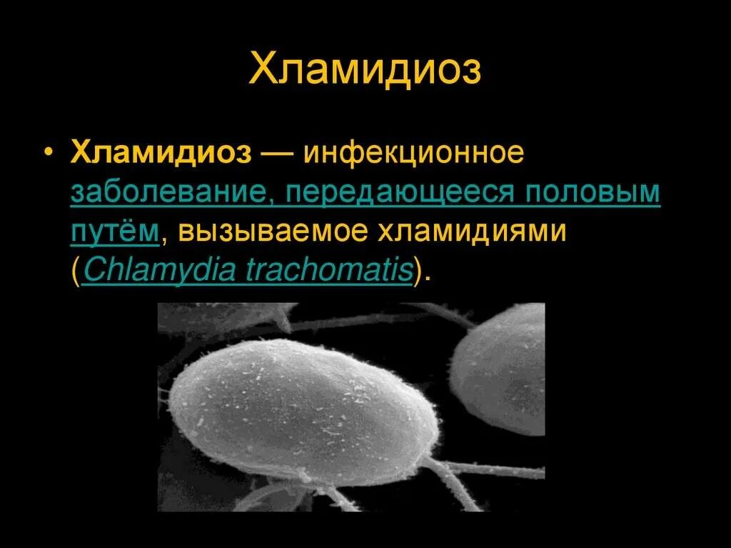 Проявление хламидиоза. Хламидиоз клинические проявления.