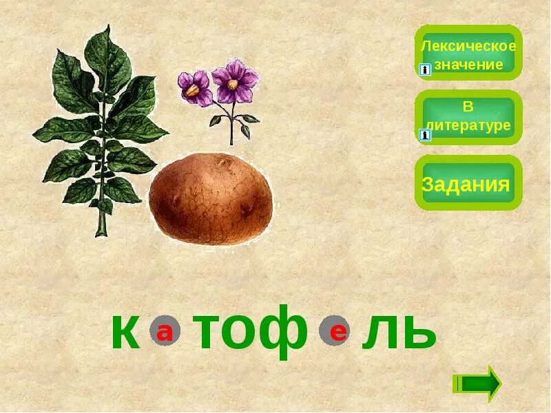 Лексическое значение слова задания. Лексическое значение слова ель. Лексическое значение ели. Ель лексическое значение. Лексическое значение словарных слов 2 класс.