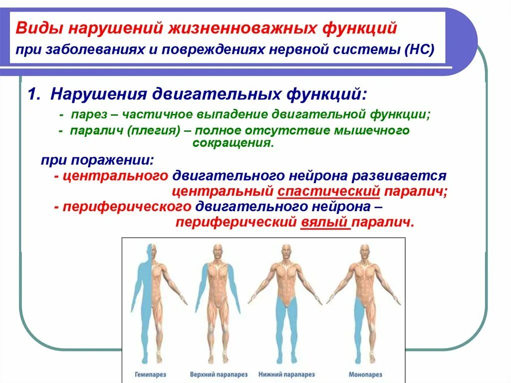 Заболевание приводит к нарушениям жизнедеятельности. Нарушение двигательной функции нервной системы. Нарушения двигательной функции параличи. Симптомы двигательных расстройств. Формы нарушения двигательной функции.