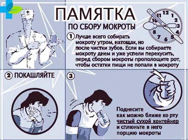 Как собрать мокроту для анализа. Как сдать мокроту на анализ. как сдается анализ мокроты. подготовка пациента к сбору мокроты на исследование.