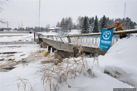Форека ляскеля