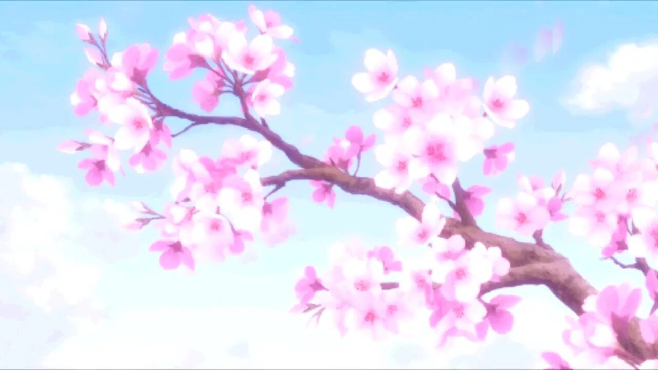 Сакура дерево. Ветвь Сакуры. Сакура анимация. Анимация ветка Сакуры. Две сакуры