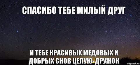 Мил дружок