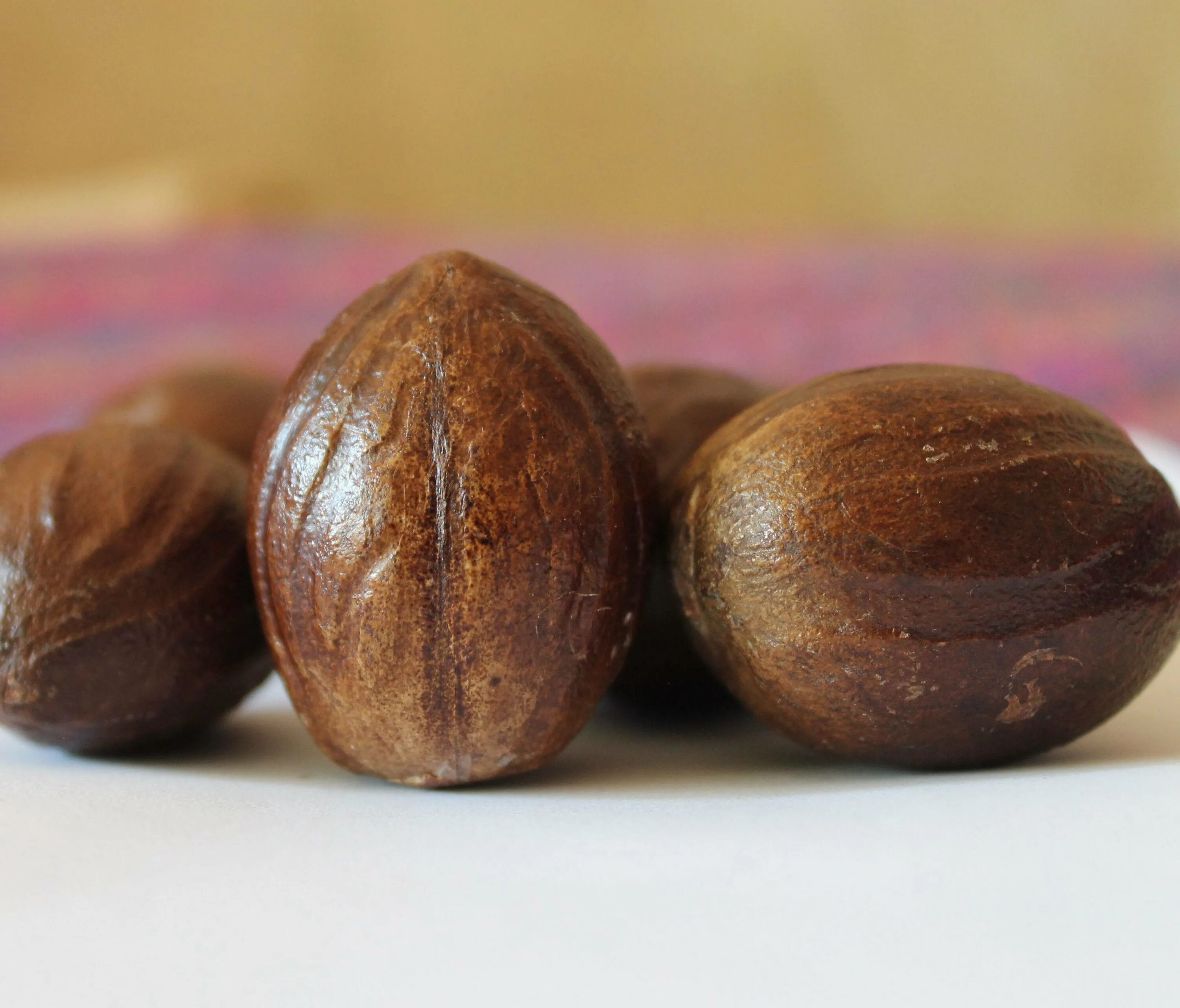 Орехи для мужчин отзывы. Nutmeg — мускатный орех. Мускат орех. Мускатный орех Nutmeg 113. Мускусный орех.
