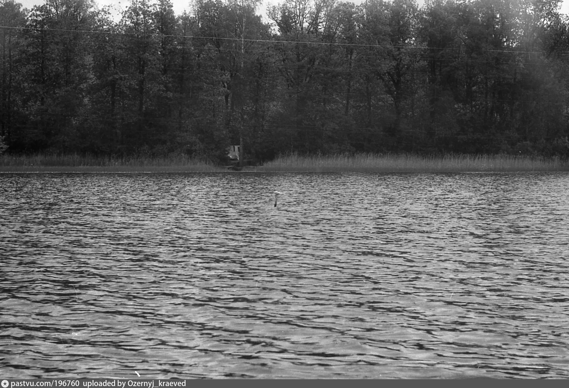 Озеро глубокое рузский. Озеро глубокое Рузский район. Заказник озеро глубокое Рузский район. Озеро глубокое Московская область Рузский район. Озеро глубокое Рузский район рыбалка.