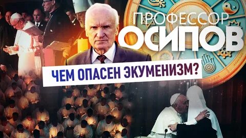 Программа профессора