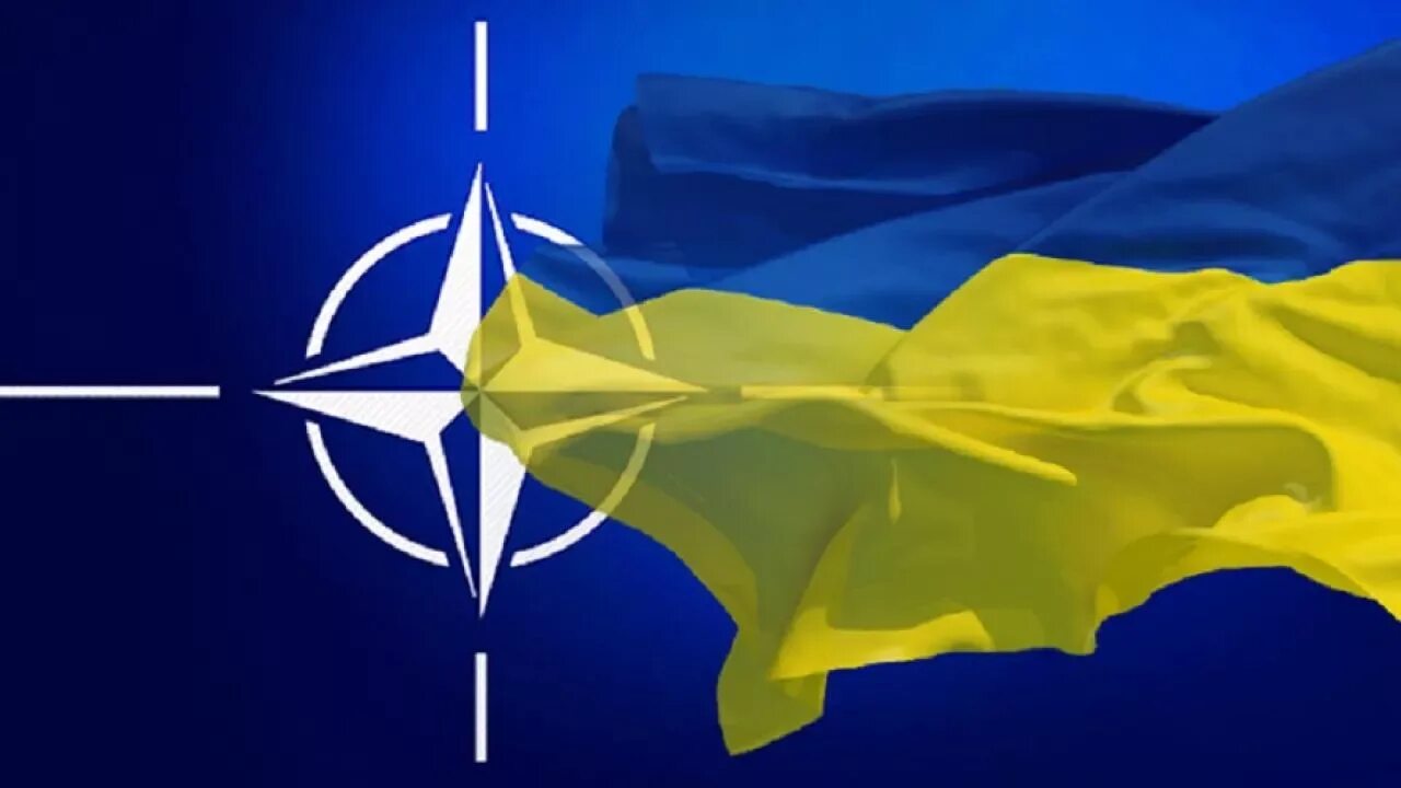 Нато послало украину. Флаг Украины ЕС НАТО. Флаг украинского НАТО. Украине НАТО НАТО не НАТО. НАТО И Евросоюз.