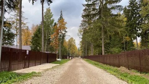 Поселок хвойный лес