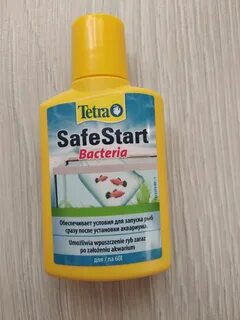 Tetra bacteria