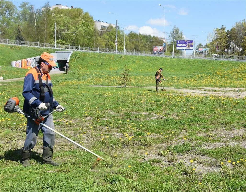 Скашивание травы вдоль трасс. Косят траву в городе. Покос травы вдоль обочин. Обкос травы вдоль обочин дорог. Покос обочин дорог.
