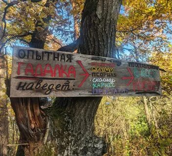 Forest name