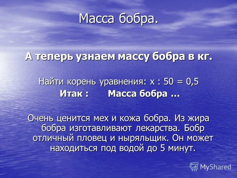 Масса бобра. Средняя масса бобра. Определение возраста бобра. Масса бобра в килограммах.