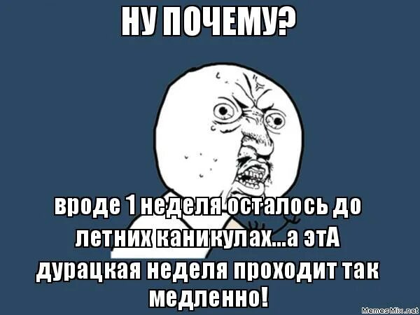 Сколько дней осталось. Летние каникулы Мем. Мемы начала летних каникул. Последняя неделя до каникул. Мемы про зимние каникулы.