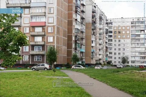 Зорге 24