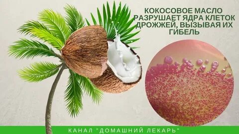Разрушение ядра