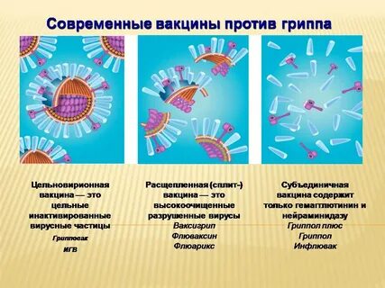 Группа против вакцинации