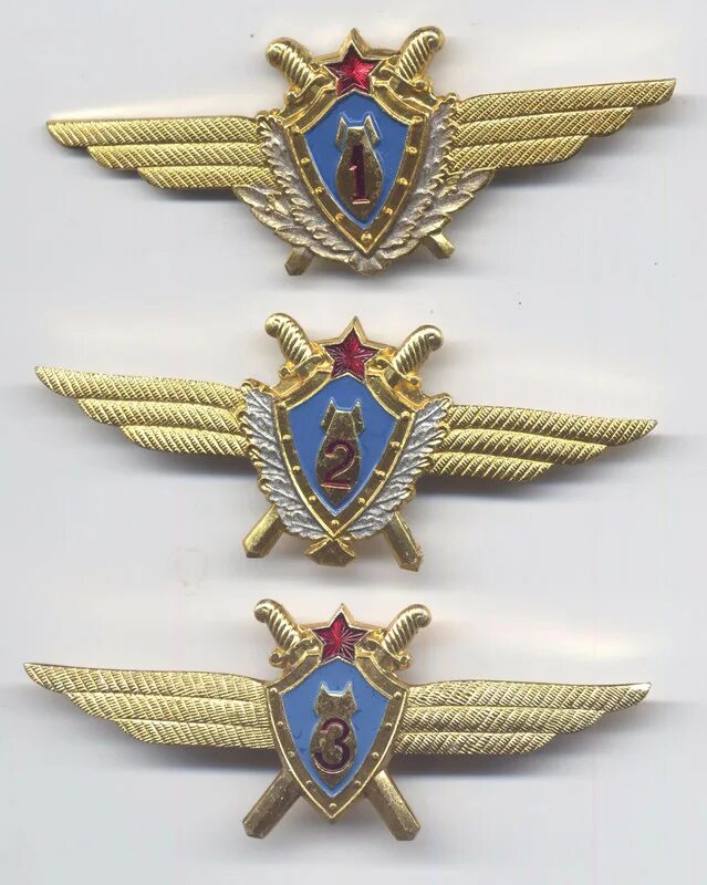 Штурман первого класса знак. Штурман класс. Штурман 1 класса знак вкс. Знак военный штурман 1 класса. Классность штурман 1.