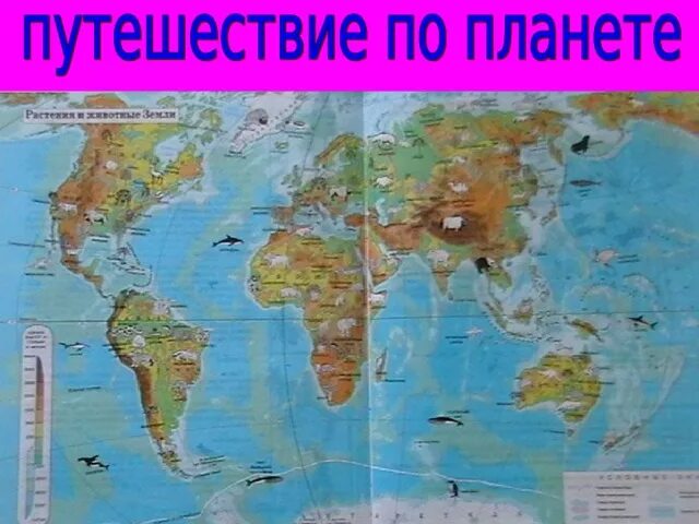 Конспект путешествие по планете. Путешествие по планете 2 класс окружающий мир. Путешествие по европе 1 география 7 класс. Путешествие по планете 2 класс. Опрос путешествие по планете 2 класс.