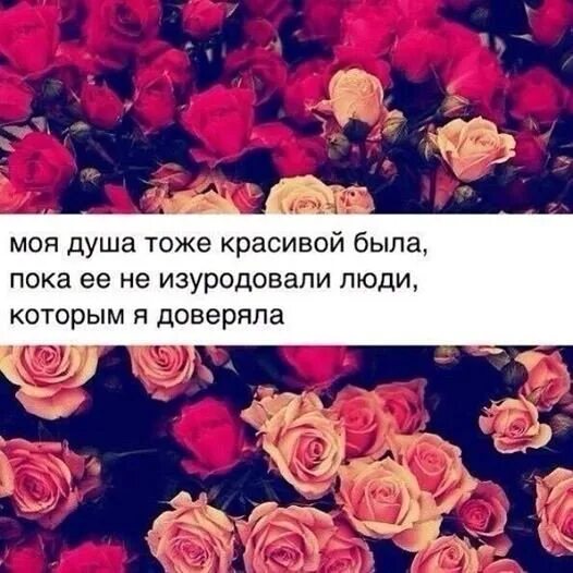 Живи пока живется. Пока живет моя душа. Песня ты душа моя косолапая. Любите нас пока мы живы слезами мертвых не поднять. Когда болит душа.