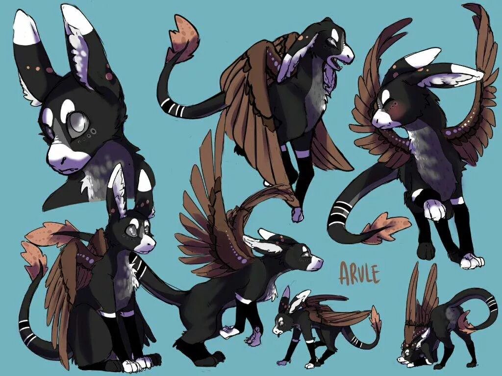 фурри ос референс. адопты персонажей девушек. необычны oc. ос персонаж. адопты референс.