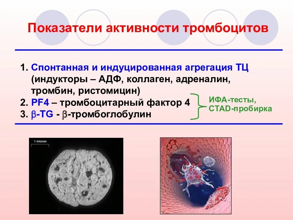 Коллаген агрегация. АДФ-индуцированная агрегации тромбоцитов в крови. Функциональная активность тромбоцитов. Спонтанная агрегация тромбоцитов. Агрегация (слипание) тромбоцитов.