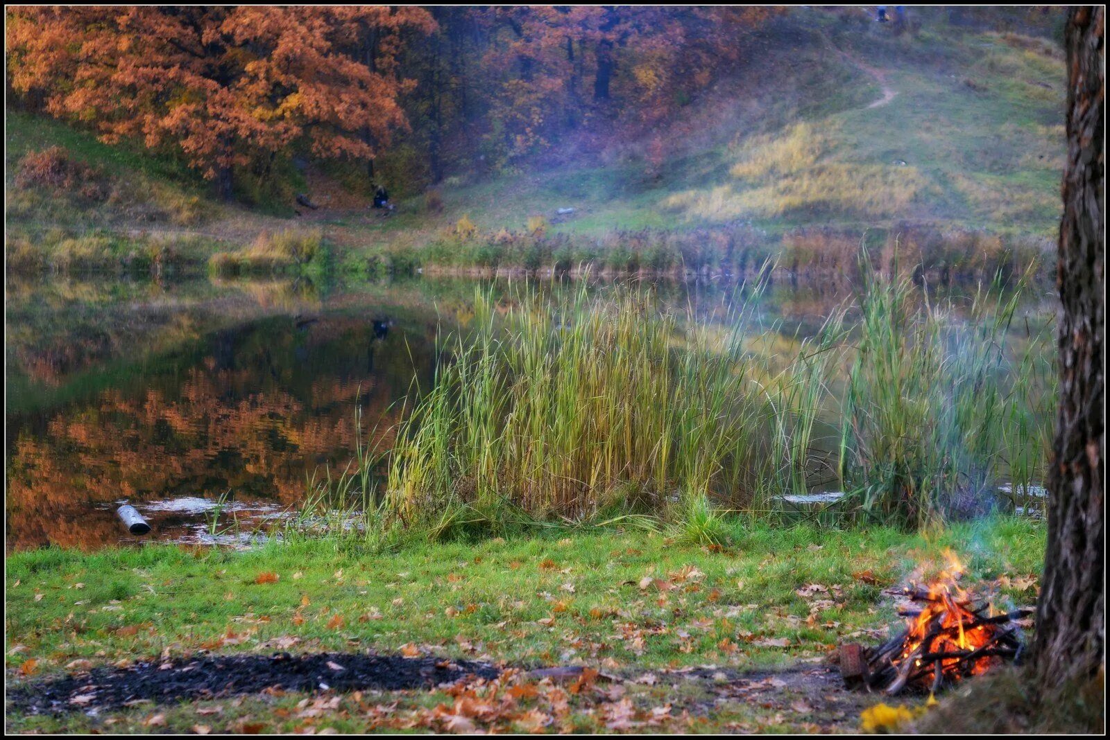 Костер осенних листьев. Осенний пейзаж костер. поздняя осень костер. хмурая осень костер. осень осень костер.
