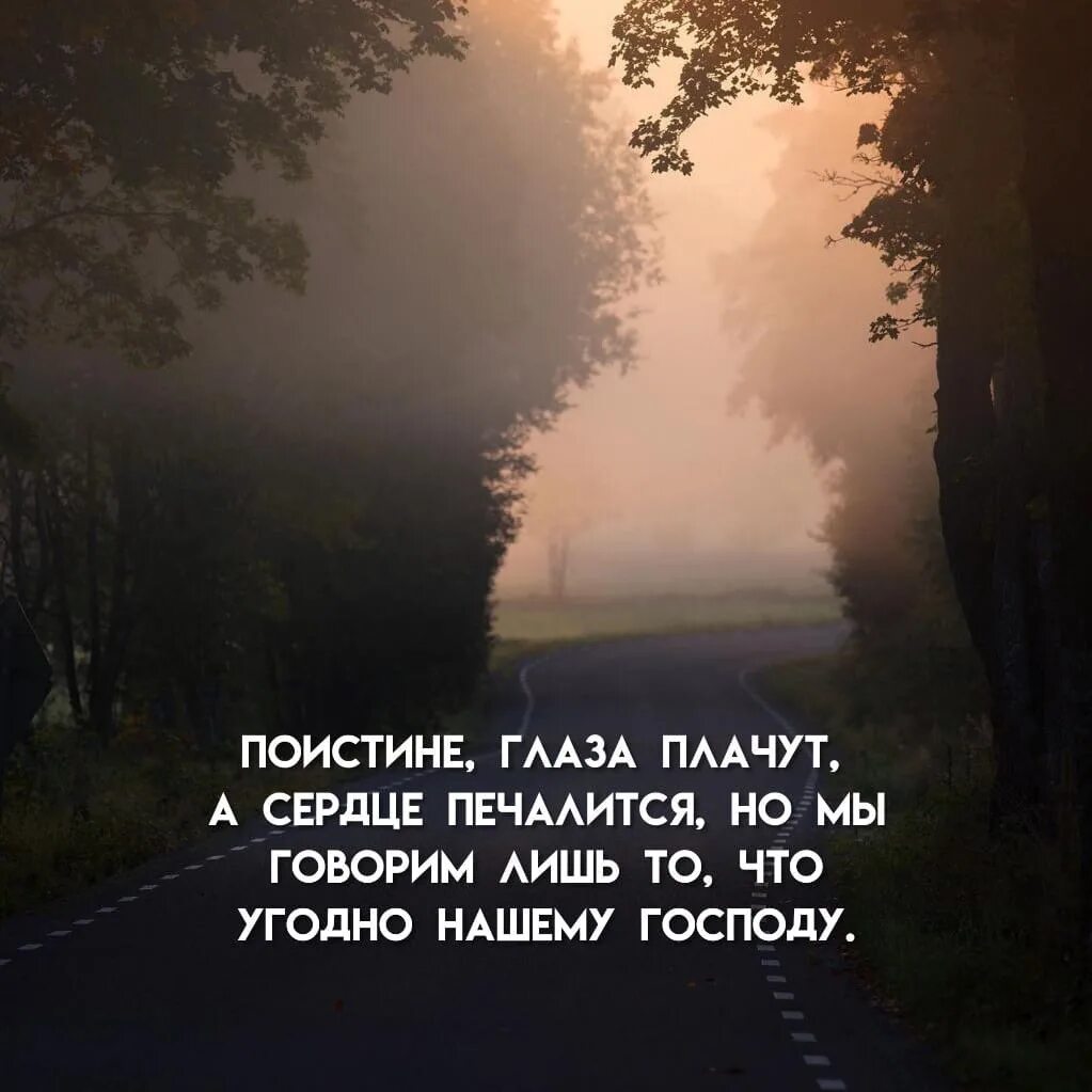 Поистине глаза плачут. Глаза плачет а сердце печалиться. Поистине печалится но мы говорим лишь.