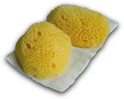 Губка для месячных