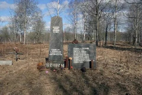 Погода синявино на 5 дней