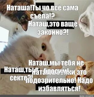 Песня надо надо научить не дерзить