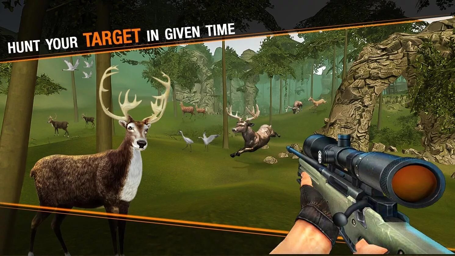 Игра Sniper Deer Hunting. Deer Hunter игра Safari. Охота снайпер.